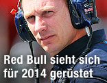 Christian Horner, Red-Bull-Teamchef